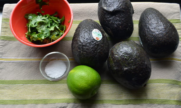 Best Ever Guacamole for Vegans and Paleo Eaters |@the_surfers_kitchen|www.thesurferskitchen.com