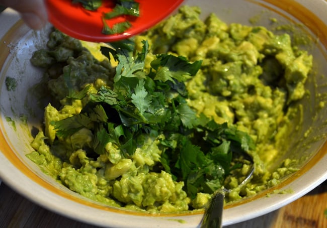 Best Ever Guacamole for Vegans and Paleo Eaters |@the_surfers_kitchen|www.thesurferskitchen.com