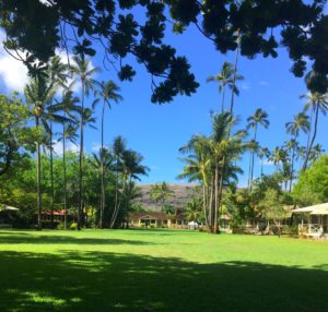 huge lawn of waimea plantation cottages kauai