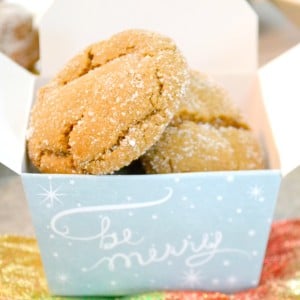 molasses cookie recipe