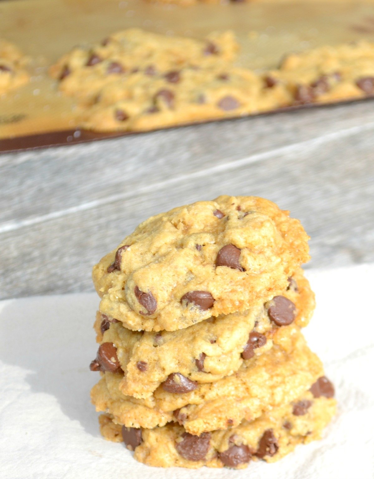 Chocolate Chip Turbo Cookies recipe