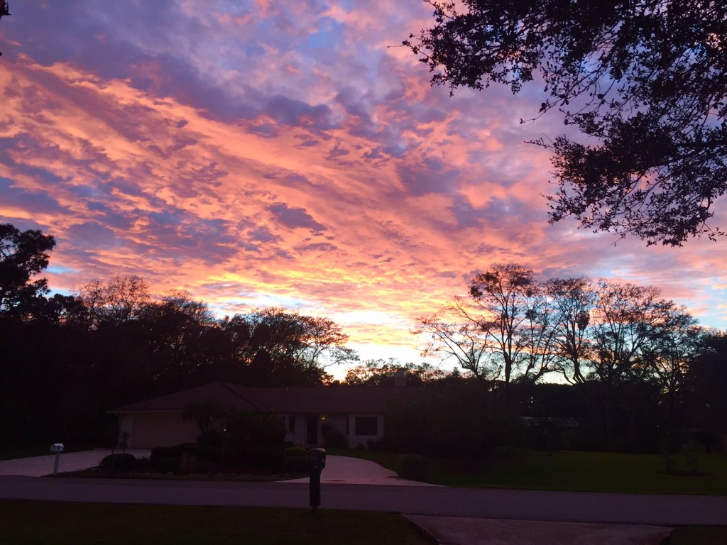sunset sarasota
