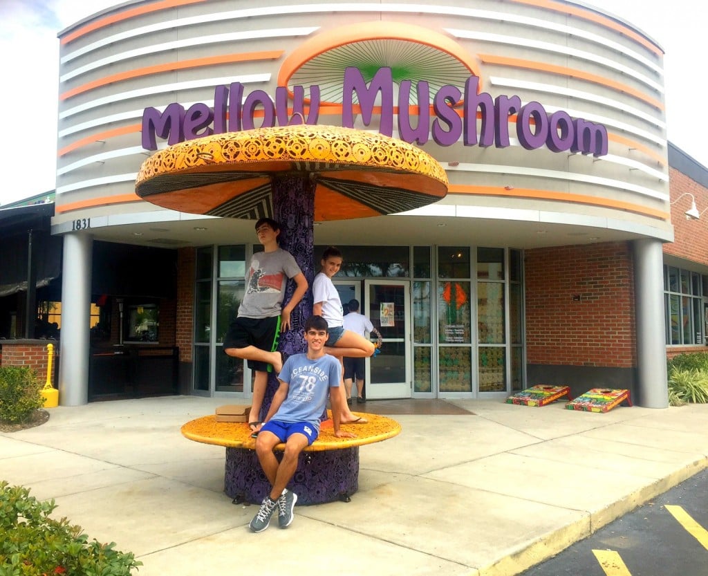 mellow mushroom