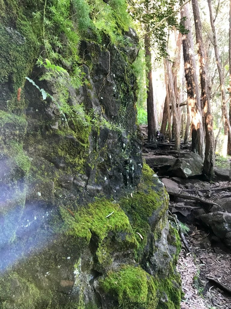 Hiking on Oahu 