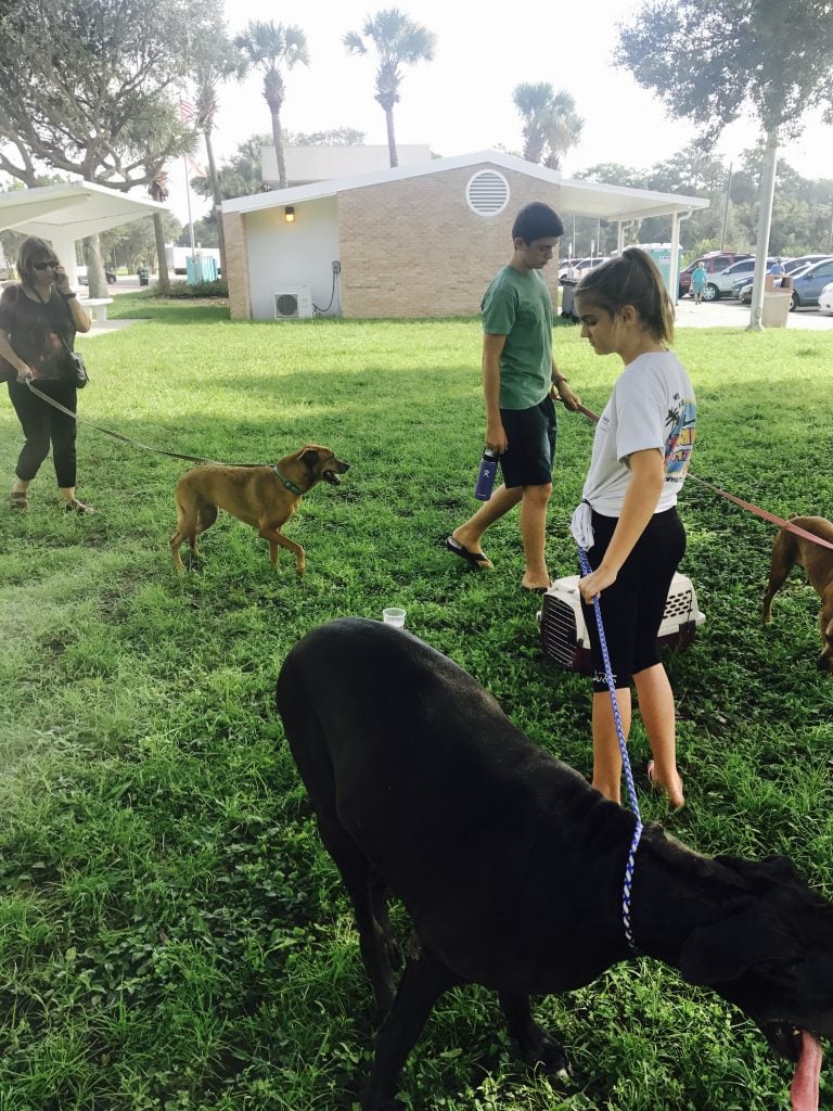 Rest Area During Hurricane Irma