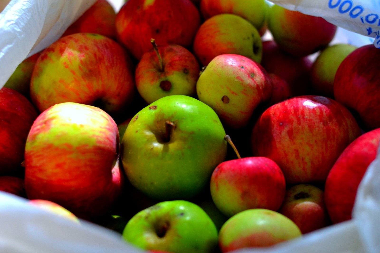 Instant Pot Homemade Apple Cider | Fresh homemade apple cider in less than 30 minutes. This is insanely good and you have to try it. |www.thesurferskitchen.com 