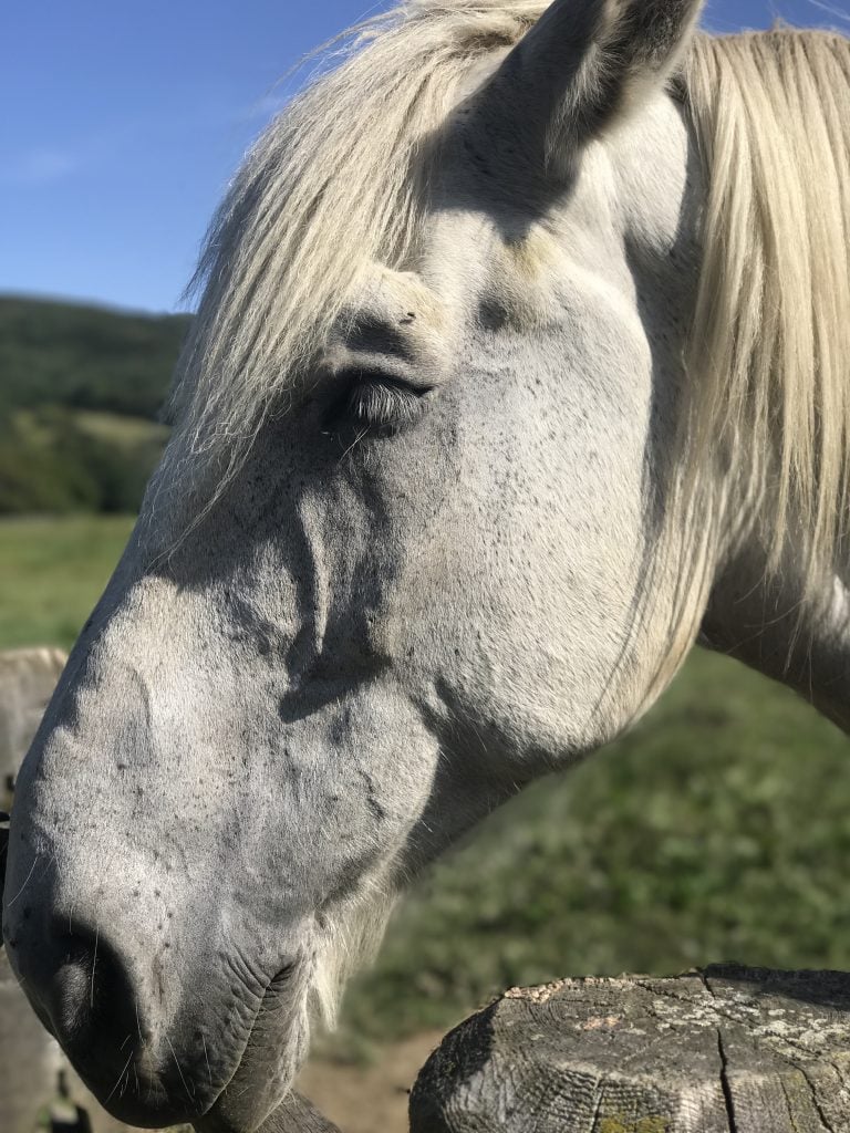 Visit to Farm in Vermont