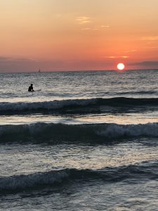 sunset surfer at Lido Key Beach