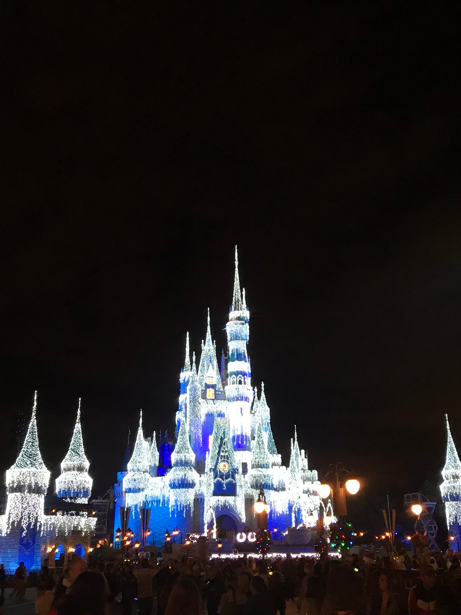 Cinderella's castle decorated for Christmas with the night sky background