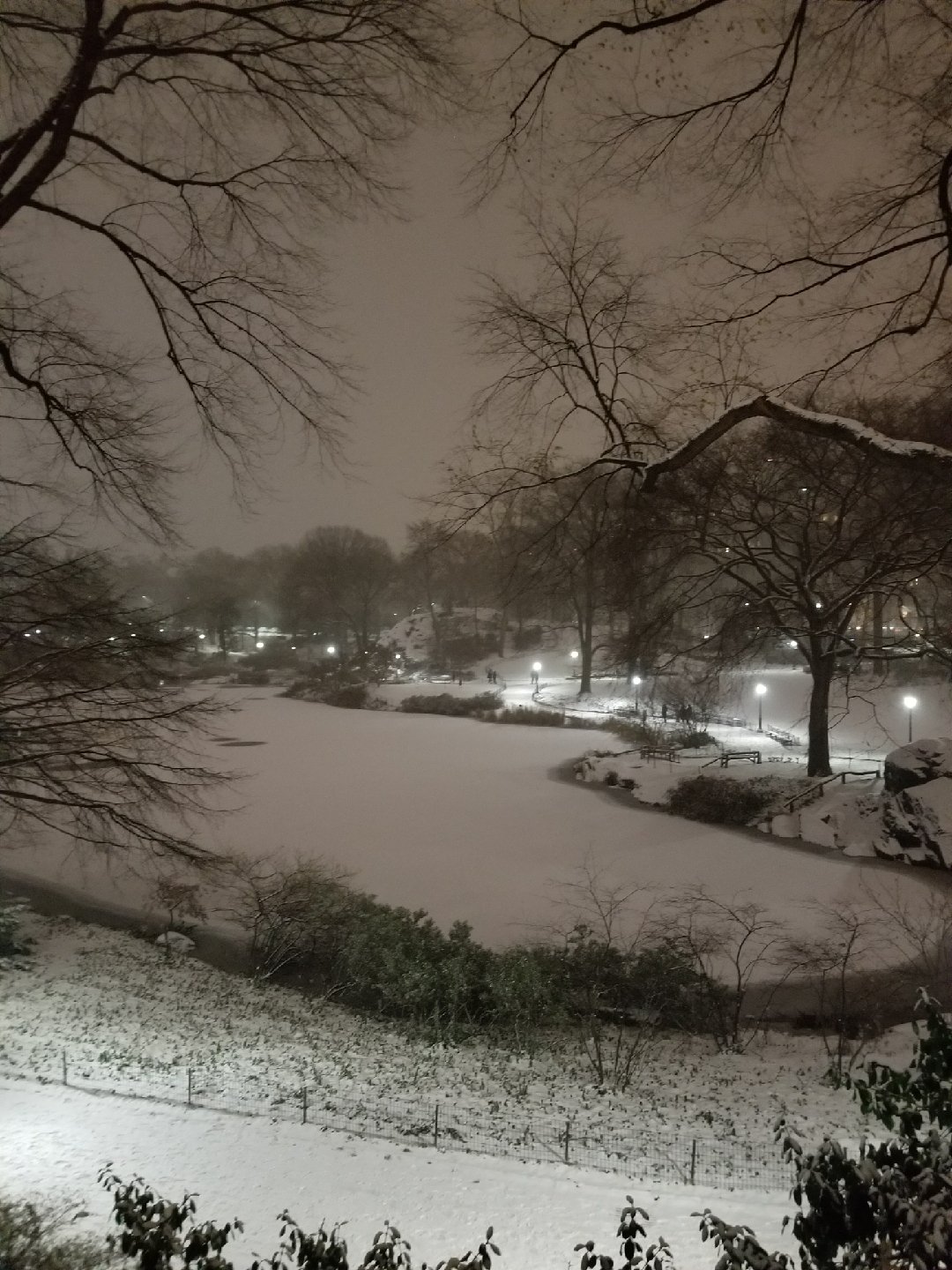 snowy scene of Central Park