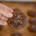 hand holding a chocolate cookie