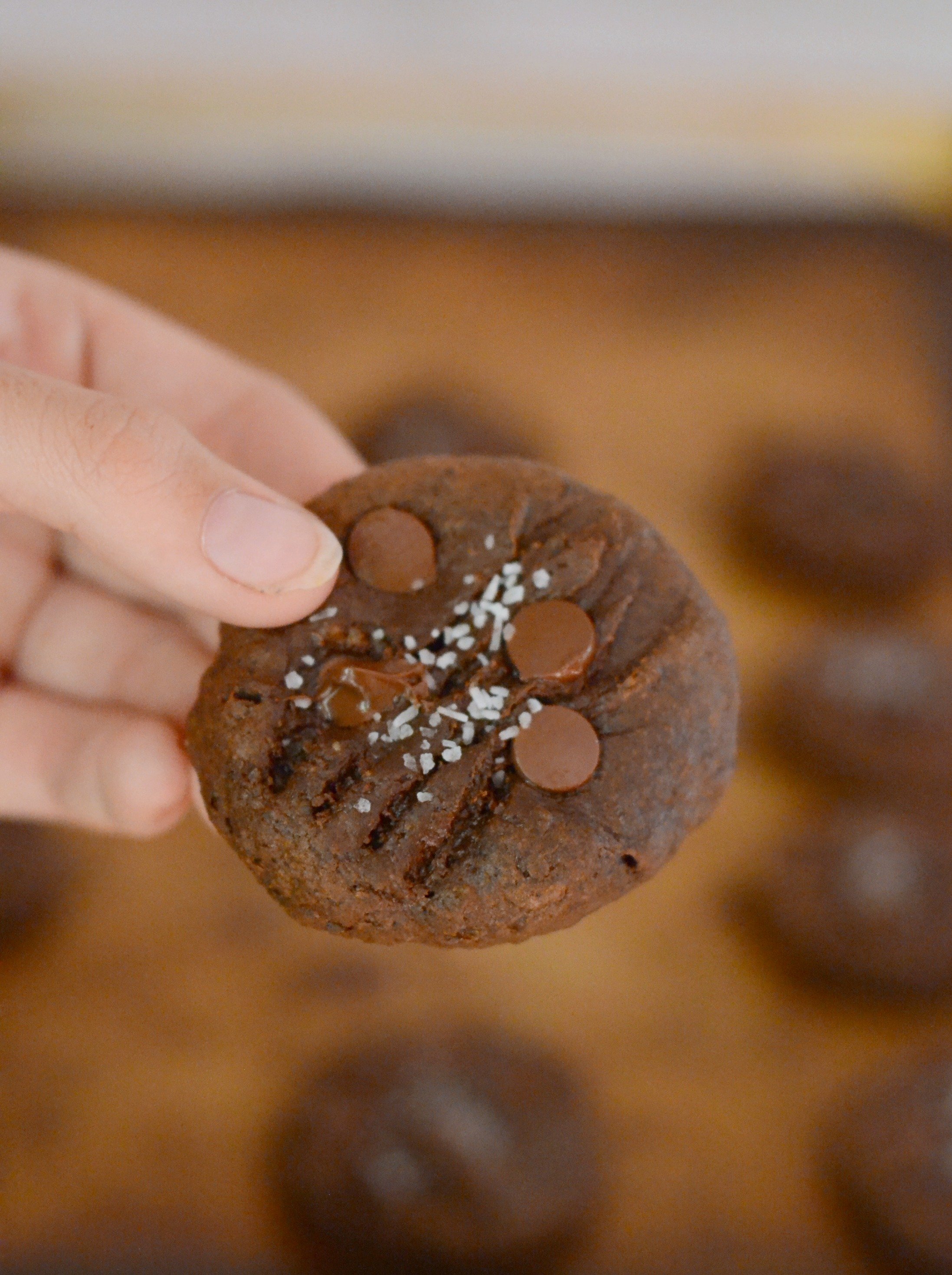 hand holding a chocolate cookie