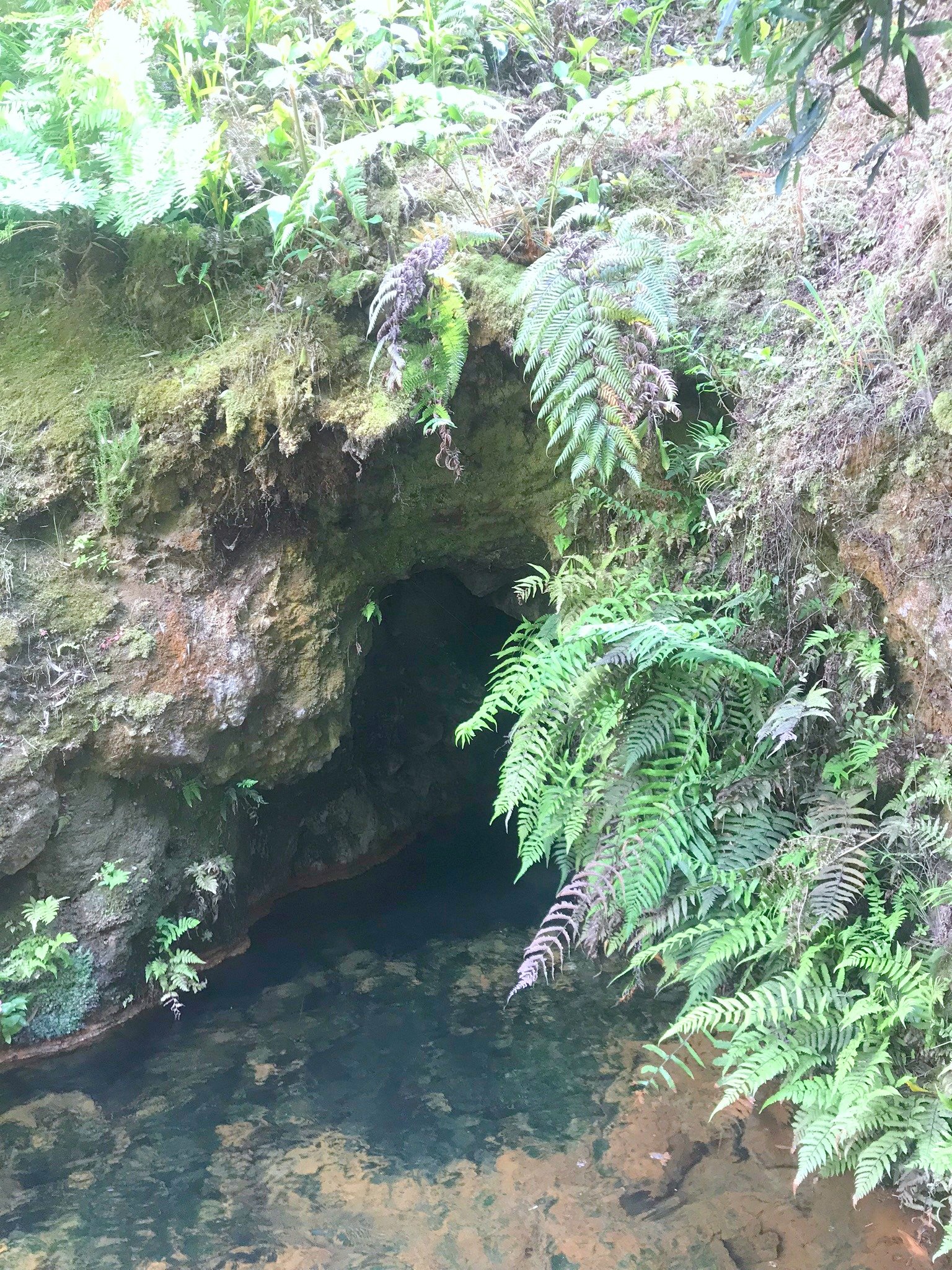 hot spring cave in furnas azores