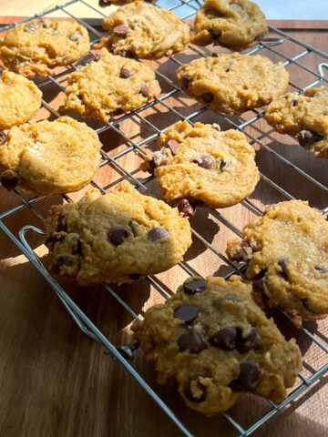 pumpkin chocolate chip cookies in sunlight